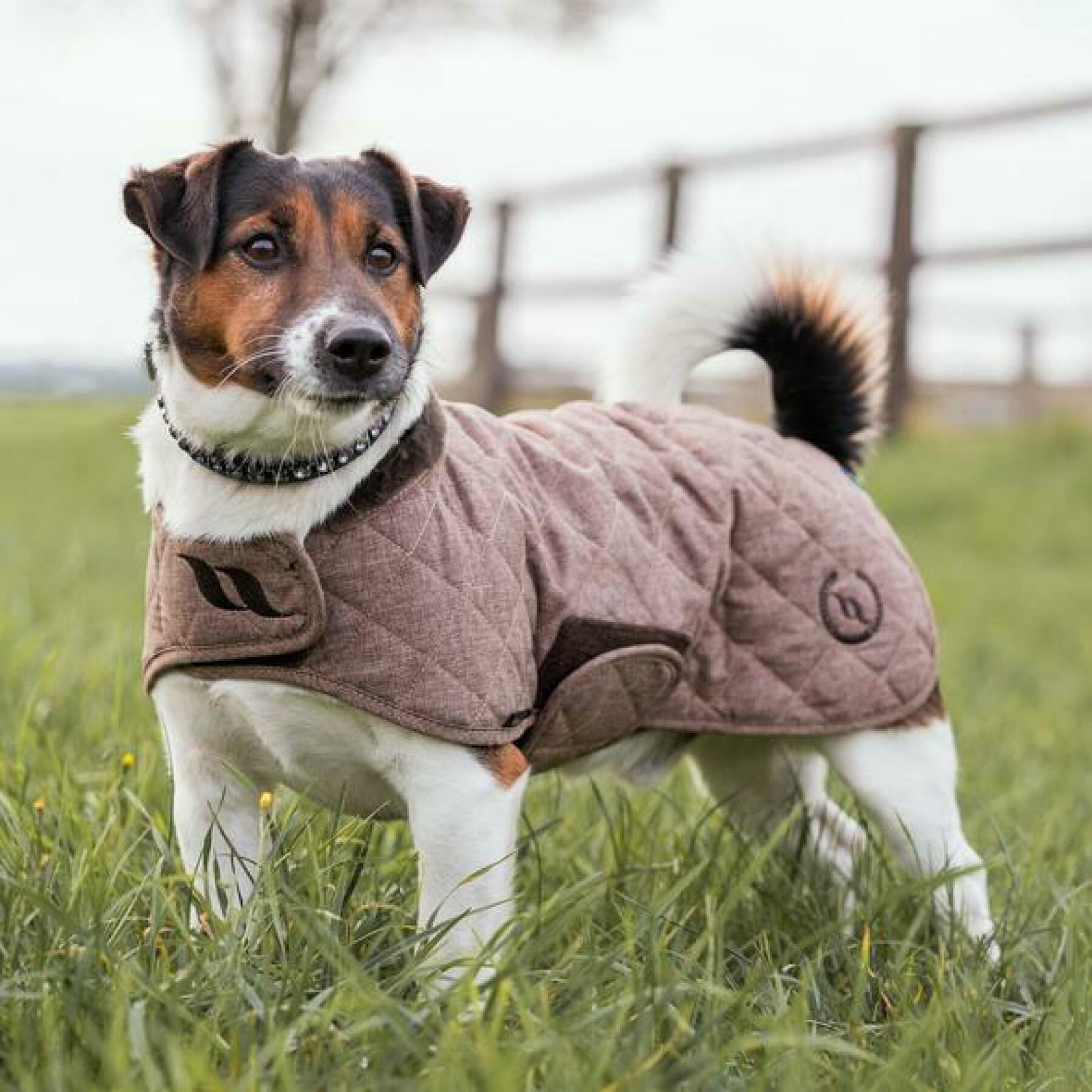 Manteau chien Back on Track haze collection 25