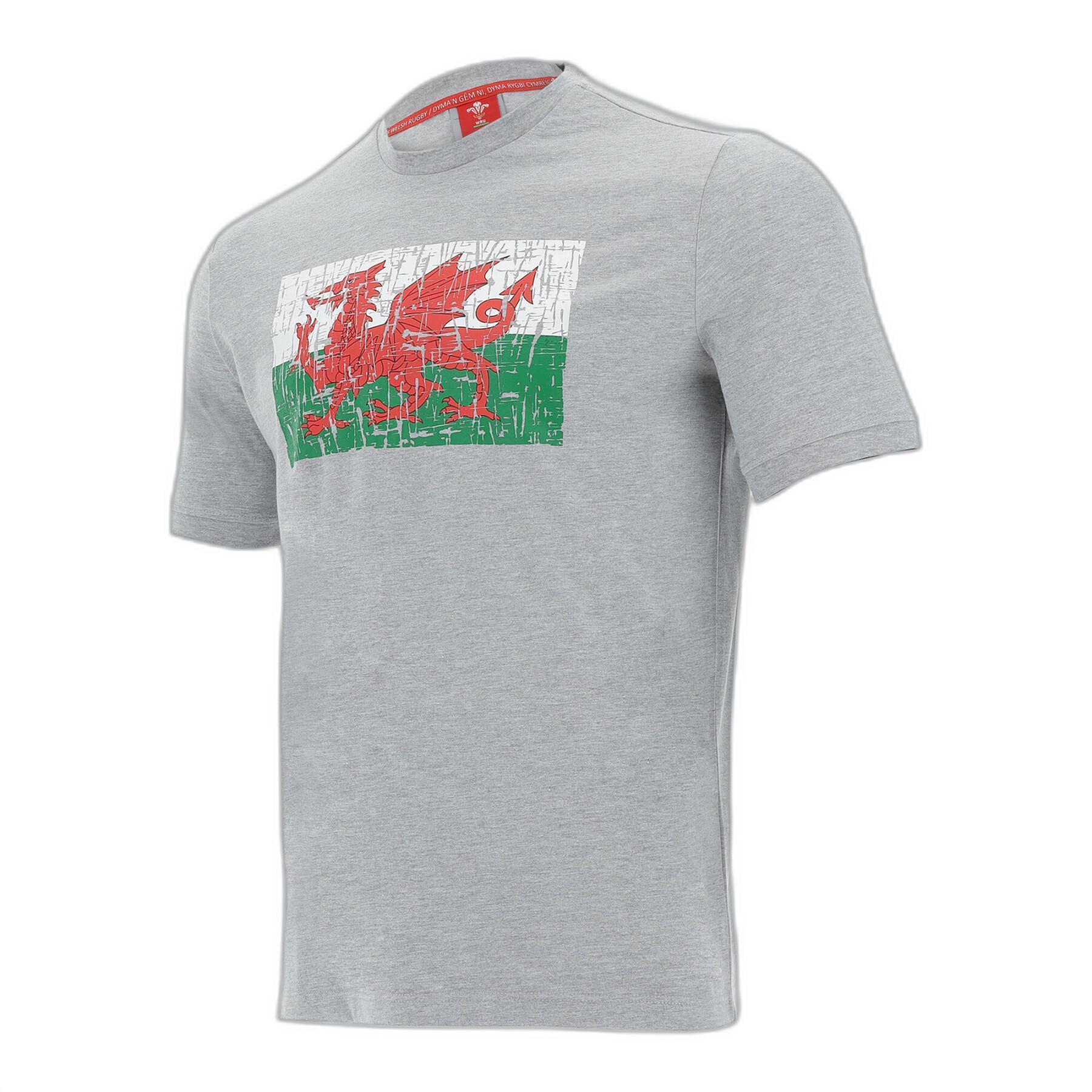 T-shirt coton Pays de Galles Rugby XV 2020/21