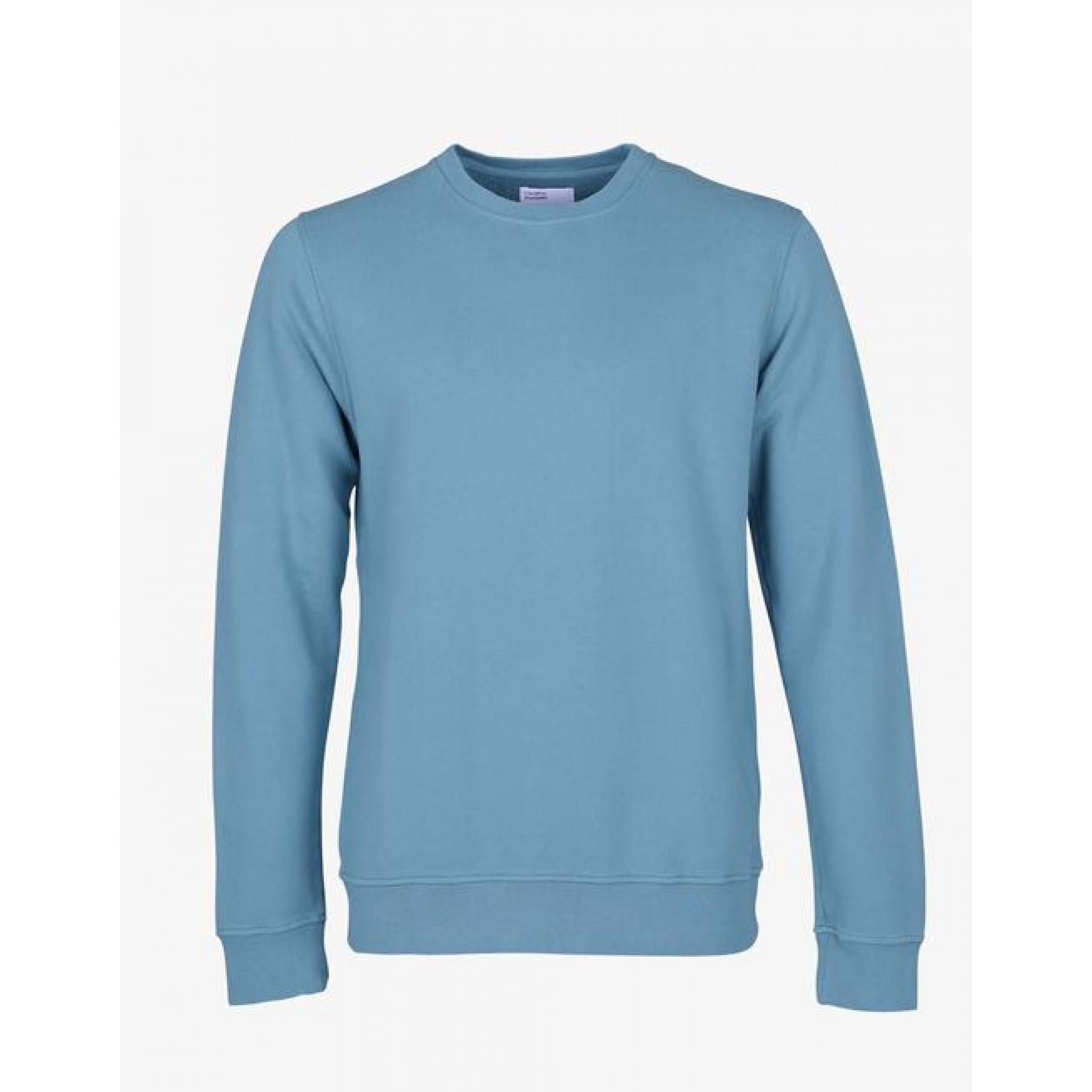 Sweatshirt à capuche Colorful Standard Stone Blue