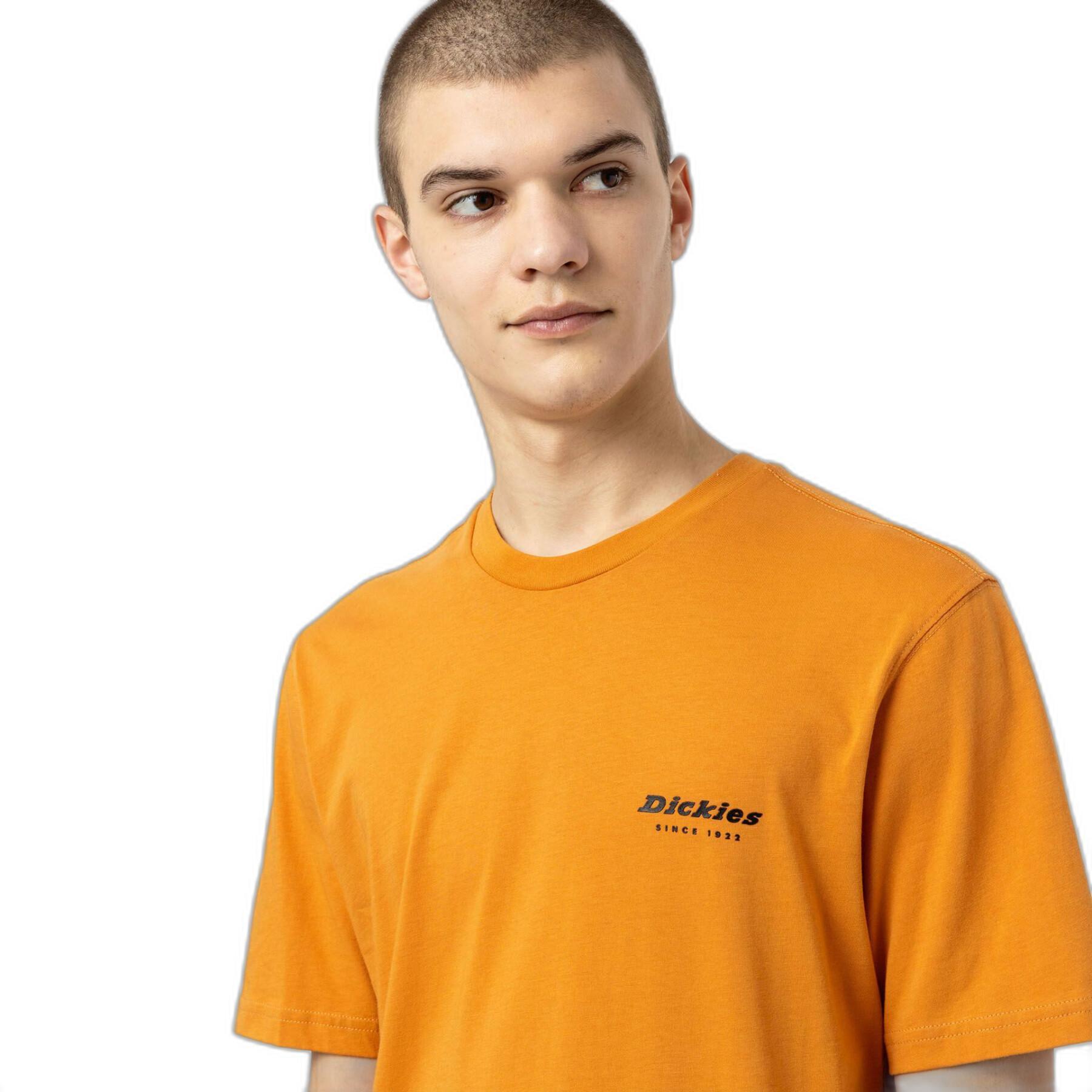 T-shirt manches courtes Dickies Artondale Box