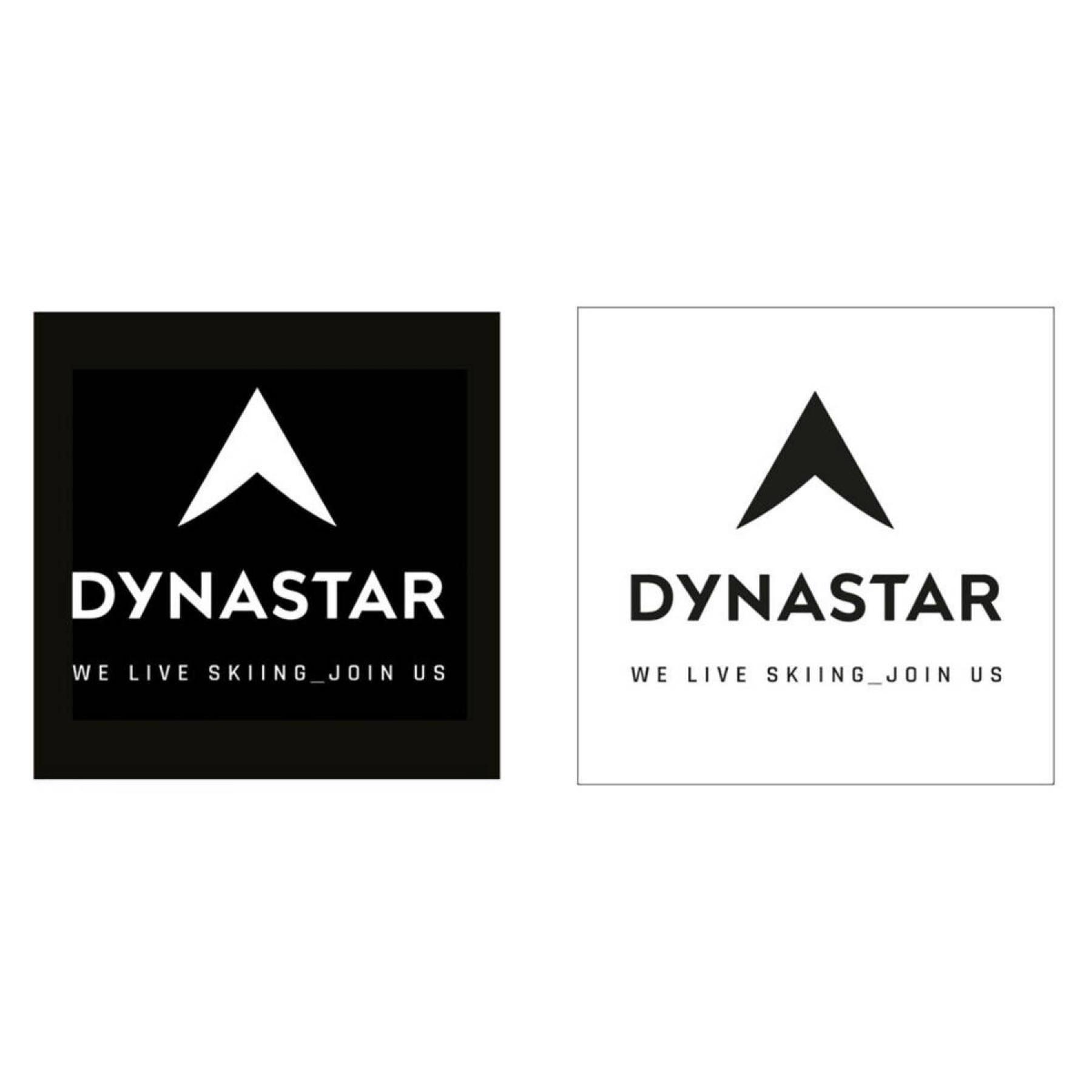 Stickers Dynastar L10 corporate