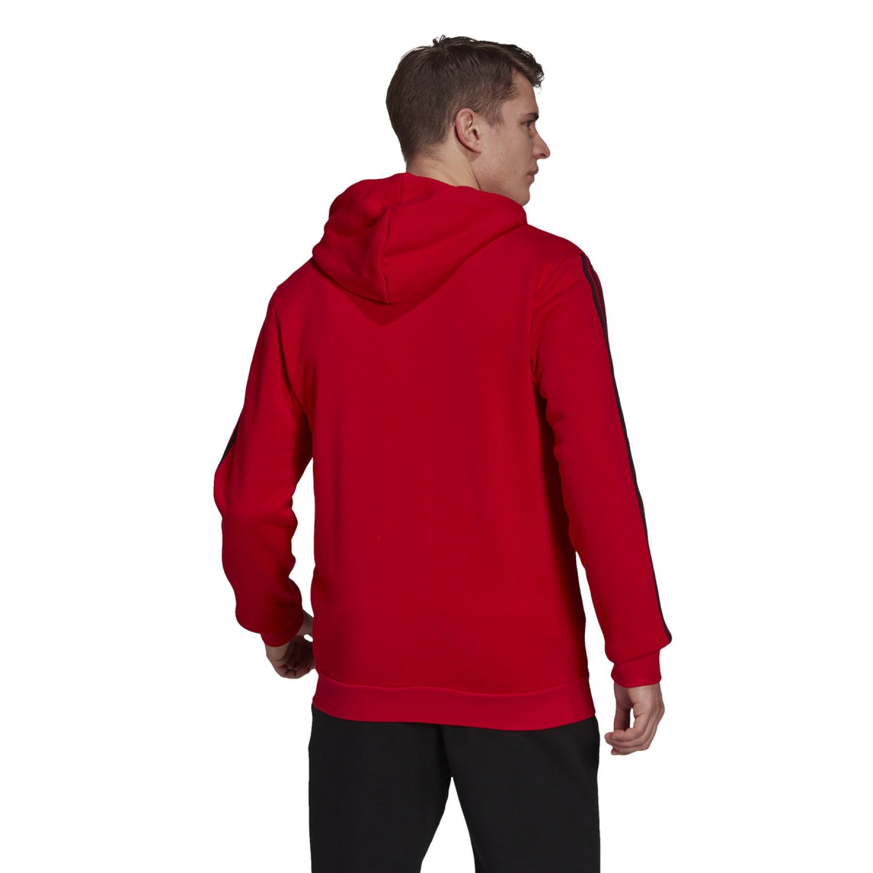 Sweatshirt à capuche adidas Essentials Colorblock Logo
