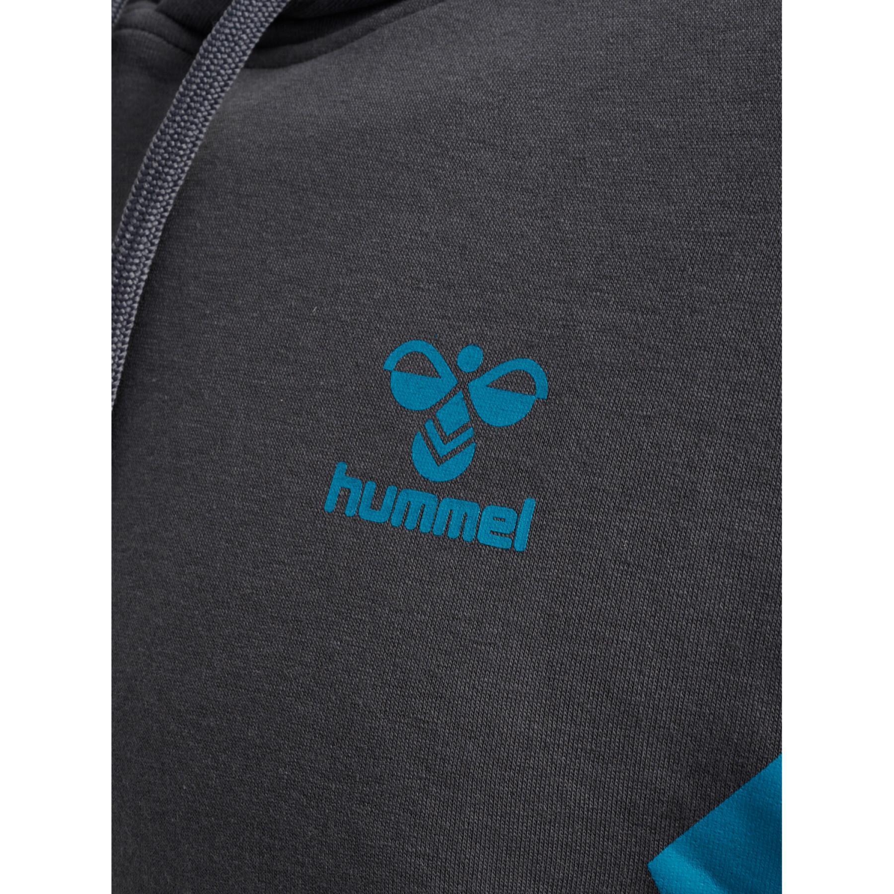 Sweatshirt à capuche Hummel HmlStaltic