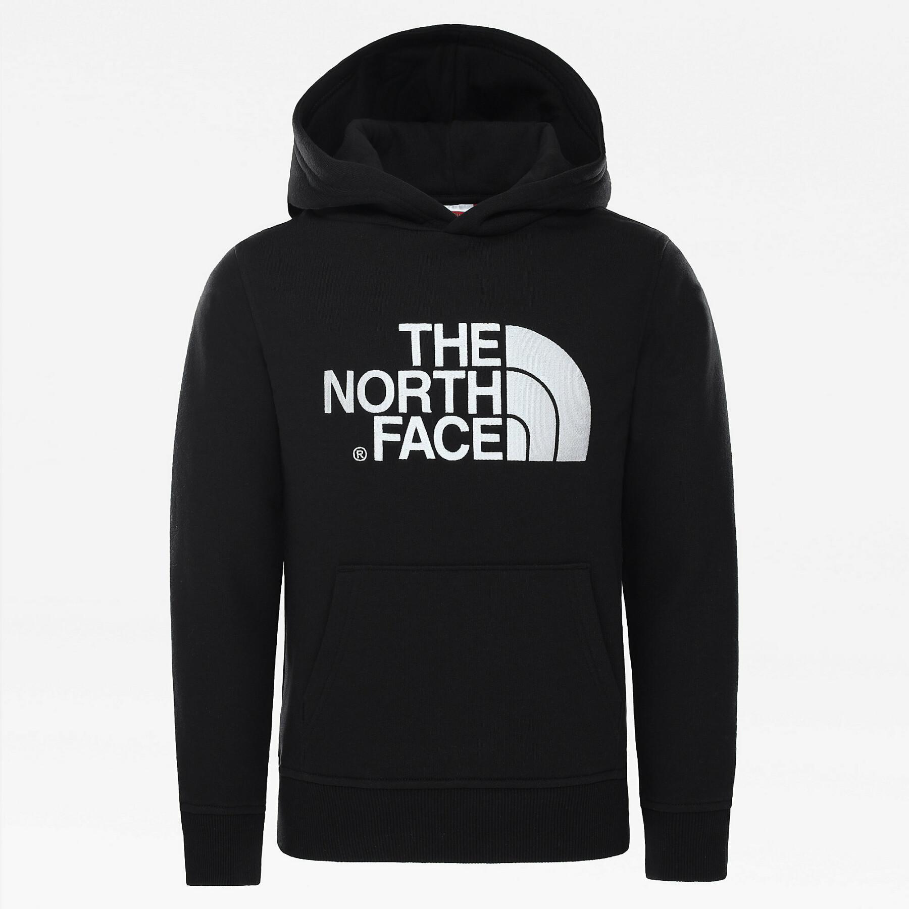 Sweatshirt à capuche enfant The North Face Drew Peak