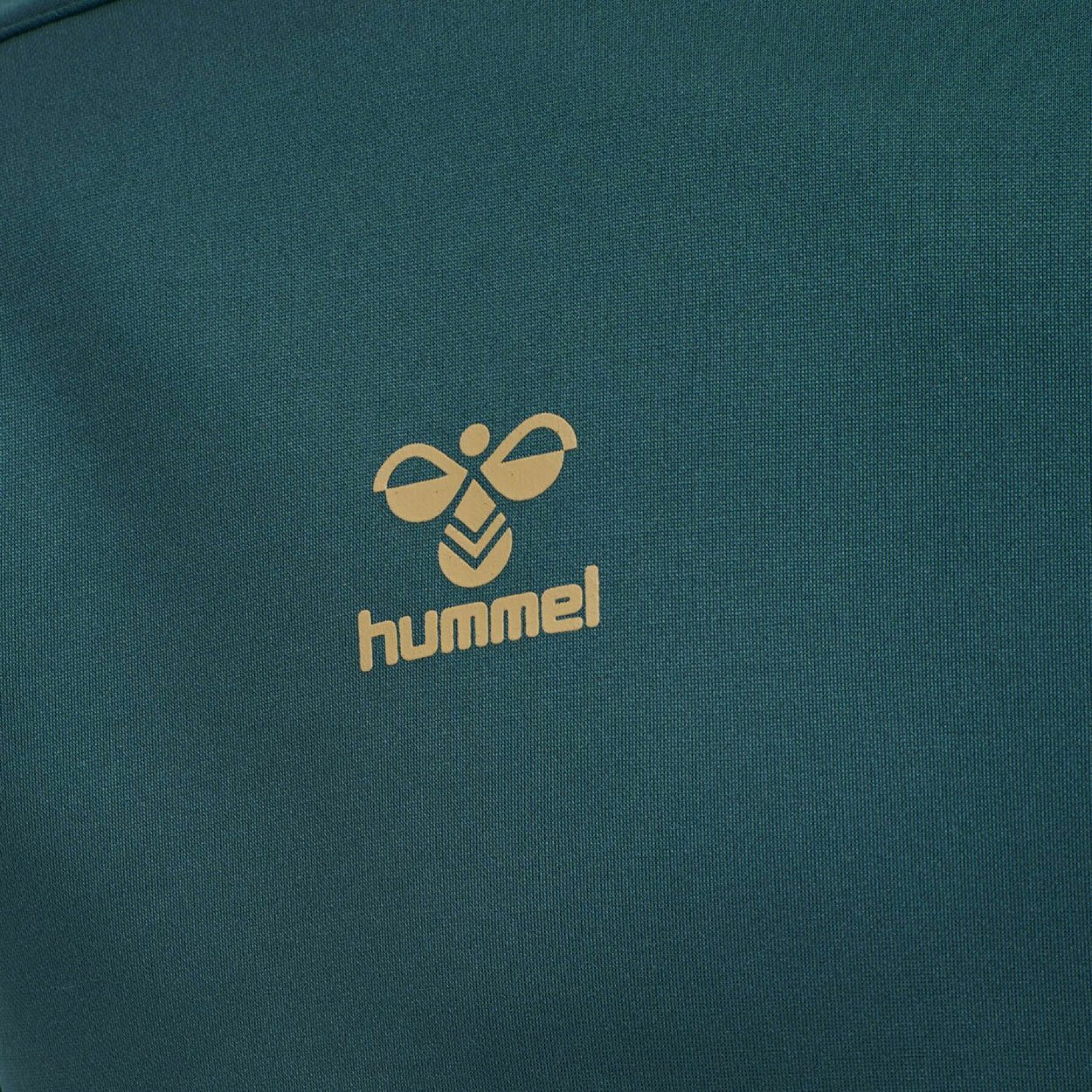 Sweatshirt à capuche Hummel hmlCIMA