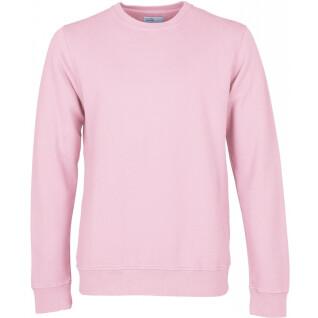 Sweatshirt col rond Colorful Standard Classic Organic flamingo pink