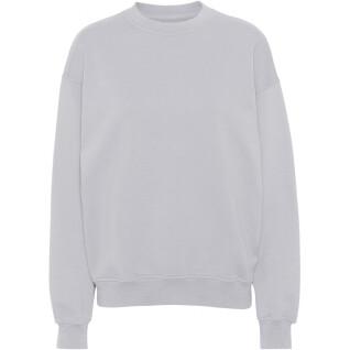Sweatshirt col rond Colorful Standard Organic oversized limestone grey