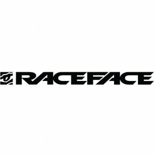 Pièces détachées Race Face aeffect r dp bushing/midcap/pin kit