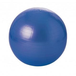 Balle gymnique - 55 cm