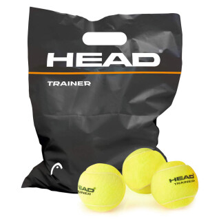 Balle de tennis Head (x72)