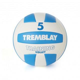 Ballon Tremblay training volley
