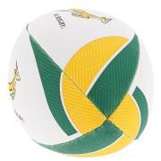 Ballon Afrique du Sud 2021/22