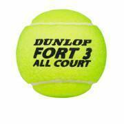 Balles de tennis Dunlop Fort all court ts 4tin