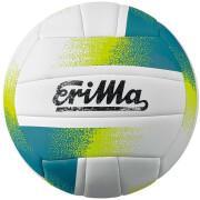 Ballon Allround Erima Volley-ball T5