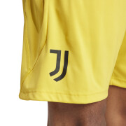 Short Training Juventus Turin 2023/24