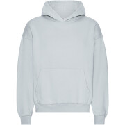 Sweatshirt à capuche oversize Colorful Standard Organic Cloudy Grey