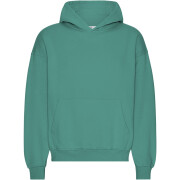 Sweatshirt à capuche oversize Colorful Standard Organic Pine Green