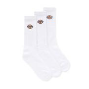 Chaussettes Dickies Valley Grove Embroidered