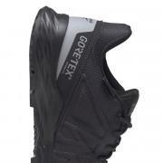 Chaussures Reebok Astroride Trail GTX 2.0