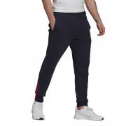 Pantalon adidas Essentials Matte Cut 3-Bandes