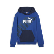 Sweatshirt à capuche enfant Puma Power Graphic
